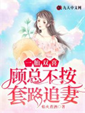一胎双喜:顾总不按套路追妻
